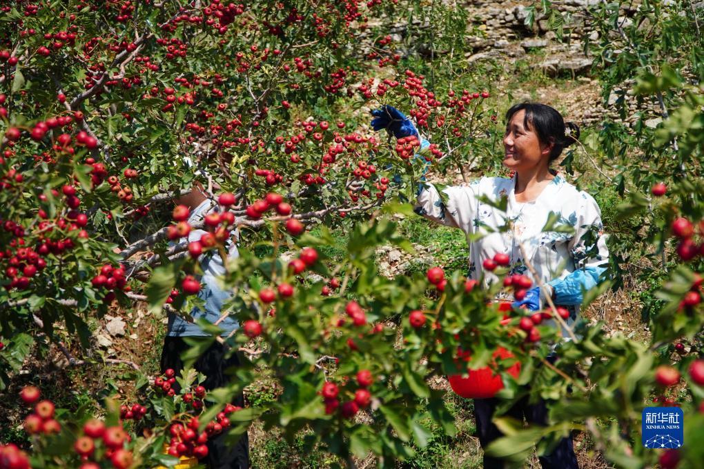 澳门银银河下载